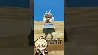 Hoyoverse Finally Give Genshin Players A Real Cat Girl 