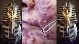 ضوء النهار في ضوء الليل #006