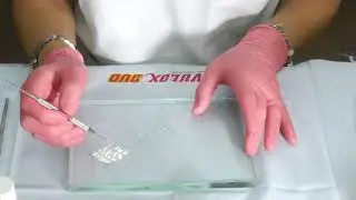 01  Cemento de fosfato de zinc