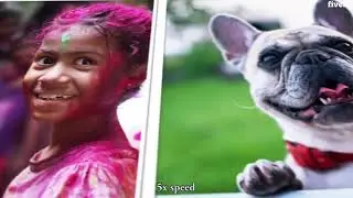 Create mosaic photo reveal video - Best Slideshow Videos service