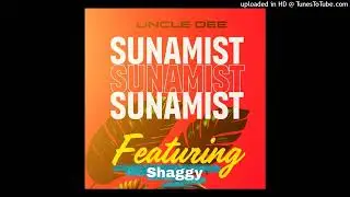 Sunamist(2024)(Uncle Dee ft Shaggy)