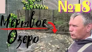 Мертвое озеро/Снова опорос/Жизнь в деревне.