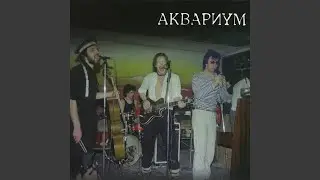 Прекрасный дилетант