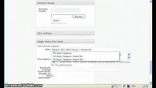 WordPress SEO Tips
