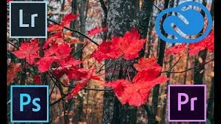 New Premiere Pro and Photoshop features for Youtube creators - Adobe creative cloud 2018