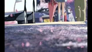 [AMV]櫻花爛漫 星夜漫天