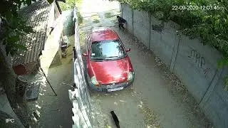 ССЫкунам г. Дружковки посвящается!