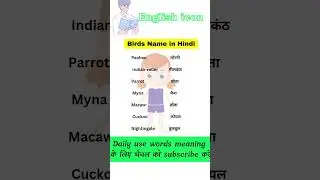 birds name in hindi and english || birds name in hindi 