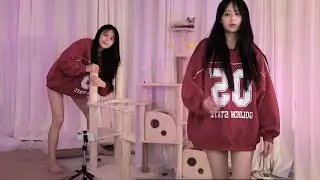 추랑이 🛋️가구조립 VLOG |🐈️캣타워 만들기