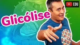 Glicólise | Respiração Celular | Prof. Paulo Jubilut
