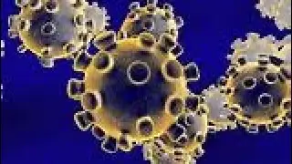Coronavirus is Getting worse every moment.