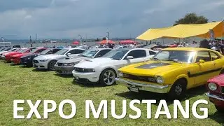 Rodada Expo Mustang Club 2023 Clásicos, Modificados Y Ediciones Especiales Hermandad Galope 3er Año!