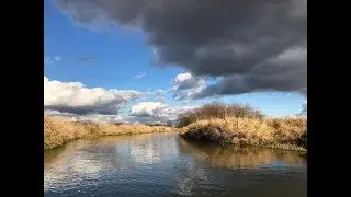 Сплав по реке Шерна. День четвертый.