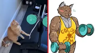 When your CAT hits the GYM 😂 Cat Memes