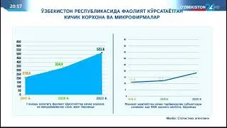 Ўзбекистонда фаолият юритаётган кичик корхона ва микрофирмалар