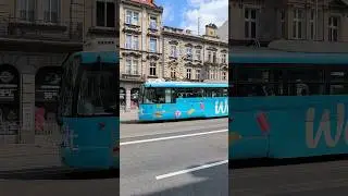 PILSEN | City trams 🚊 on Klatovská street - 4K #trams