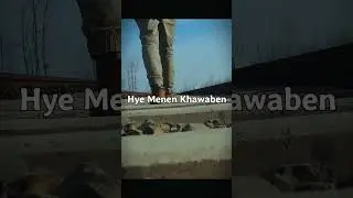 song with autotune and without autotune oliver tree (Genius)  