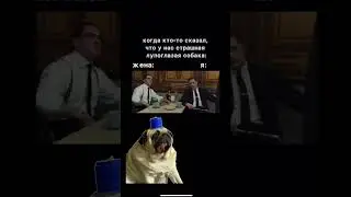 Не надо обижать Шифу 😂#шифа #собака #pug #мопсы #мопс