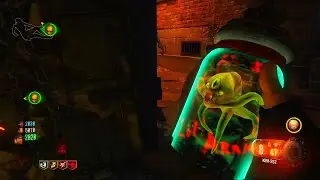 I'm Doomed - SOE Zombies With Randoms First Attempt