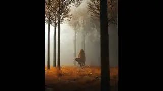 Takashi Kokubo - Asamoya