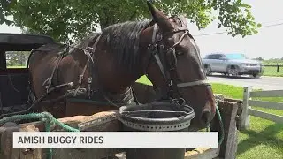 Amish Buggy Rides | Wandering Weatherman