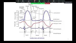 Process Profile Discussion