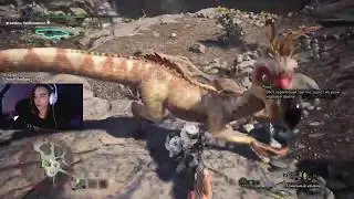 Monster Hunter