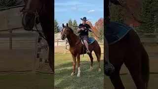 Little bit of horseback archery with the 1964 Damon Howatt Hi-speed 