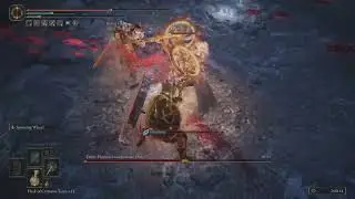 one of the funniest things i've ever experienced in a FromSoft game