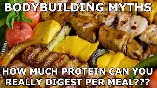 Bodybuilding Myths | How Much Protein Can You Really Digest Per Meal?