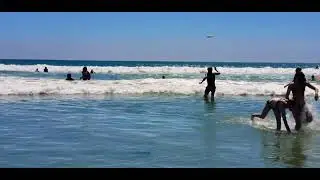 La Jolla Law Street Beach.  Diesel with his Brother and cousin's playing Frisbee in the ocean.