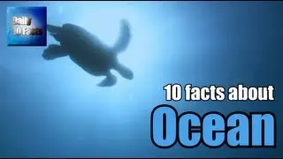 10 facts about Ocean