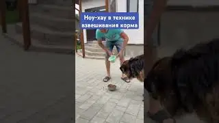 #тимасветлогорских