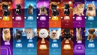 ALL CUTE CATS VS DOGS - IMAGINE DRAGONS - WAKA WAKA - SAVAGE LOVE - SHAPE OF YOU TILES HOP EDM RUSH