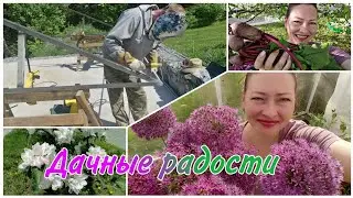 ДЕЛАЕМ ОПОРЫ ДЛЯ ВЬЮЩИХСЯ РАСТЕНИЙ | КОСИМ | САЖАЕМ |  ПЕРВЫЙ УРОЖАЙ СВЕКЛЫ