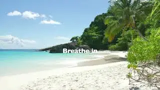 Watch This To Relieve Stress Instantly