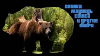 10 минут консоси