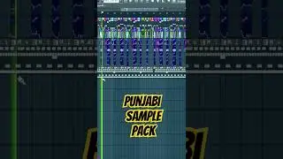 Punjabi sample pack 