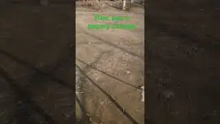 Как я держу камеру 