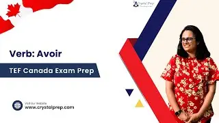 Verb: Avoir | Beginner's Guide | TEF Canada Preparation