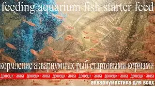 стартовые корма  для  мальков аквариумных рыб, ಫ್ರೈಗೆ ಆಹಾರ, mata till stek, Amazing idea
