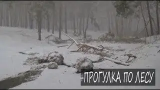 Влог Как у меня дела и планы на новые видео