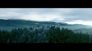 Socar - Winter