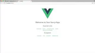 02 build a multi user video chat app 289 install vue hd
