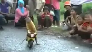 BeyLer Bu  Turkıyede olsa Bızım MotorcuLarı yolda Bırakır :D
