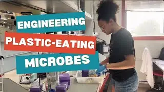 Engineering Plastic-Eating Microbes in Spain