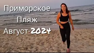 ПРИМОРСКОЕ. ПЛЯЖ. Последние дни лета. У НАС КОМПАНЬОНЫ! Чай от Андреевны, но не травяной...
