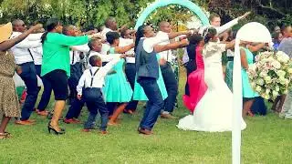 wedding highlights