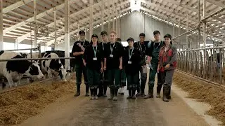 Практика — лучший способ получить опыт 🚀