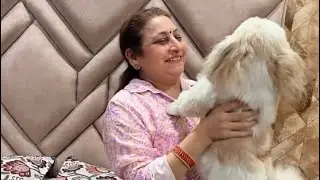 Cheena ko golu or payal ki taraf se mile gifts ❤️🪔